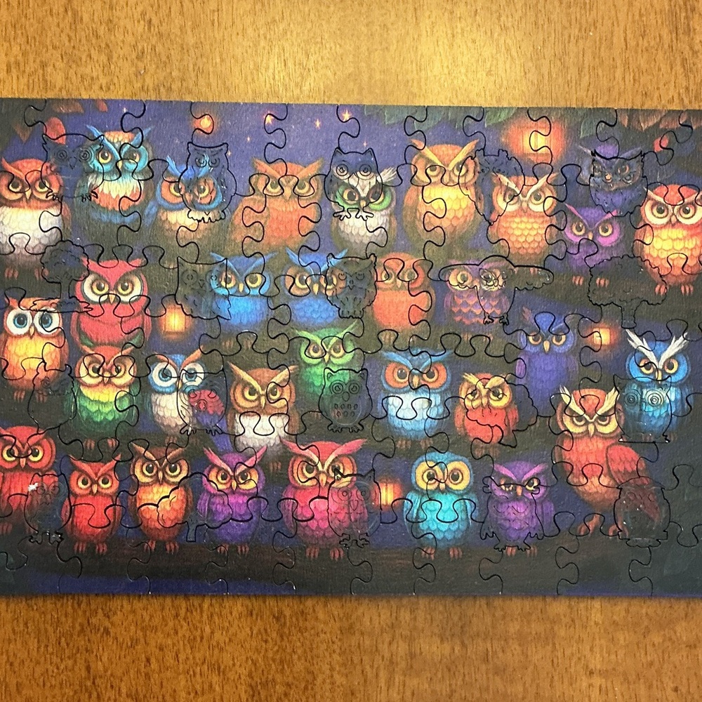 Colorful Owl Puzzle